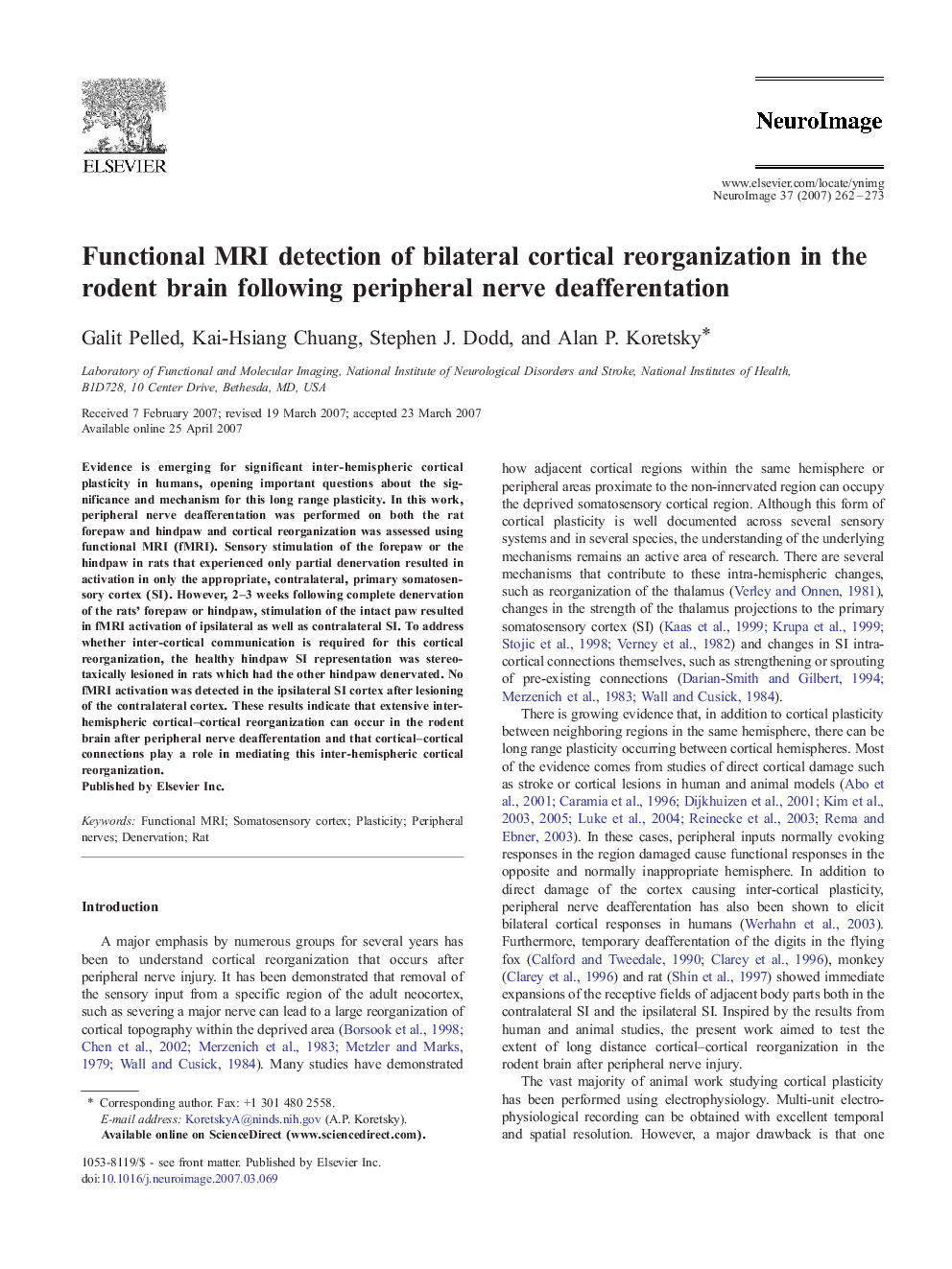 Functional MRI detection of bilateral cortical reorganization in the rodent brain following peripheral nerve deafferentation