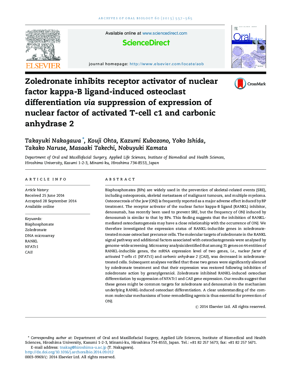 Zoledronate inhibits receptor activator of nuclear factor kappa-B ligand-induced osteoclast differentiation via suppression of expression of nuclear factor of activated T-cell c1 and carbonic anhydrase 2