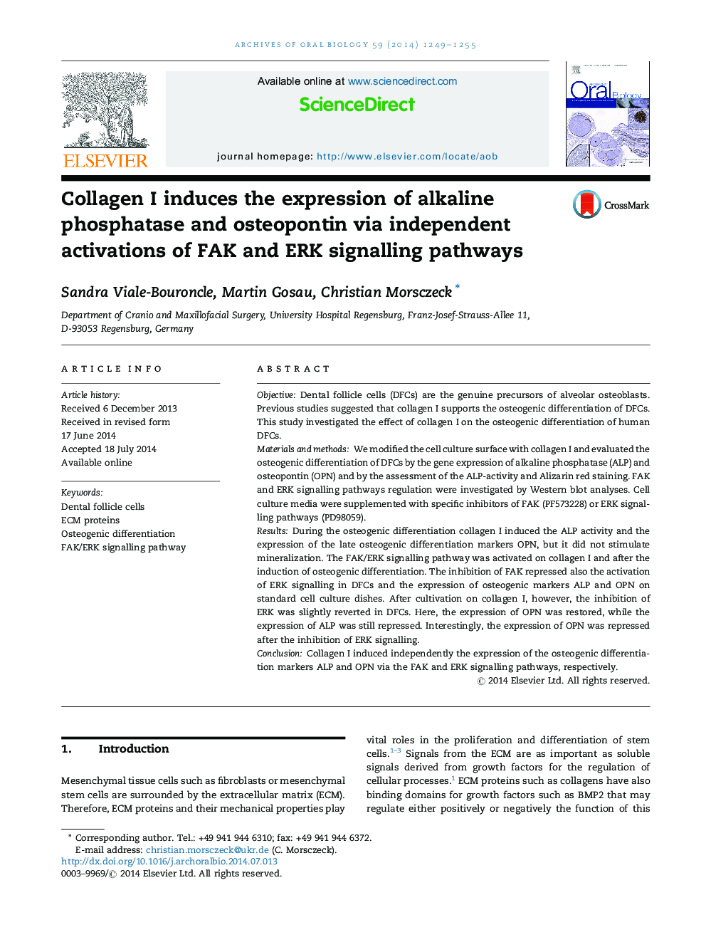 Collagen I induces the expression of alkaline phosphatase and osteopontin via independent activations of FAK and ERK signalling pathways