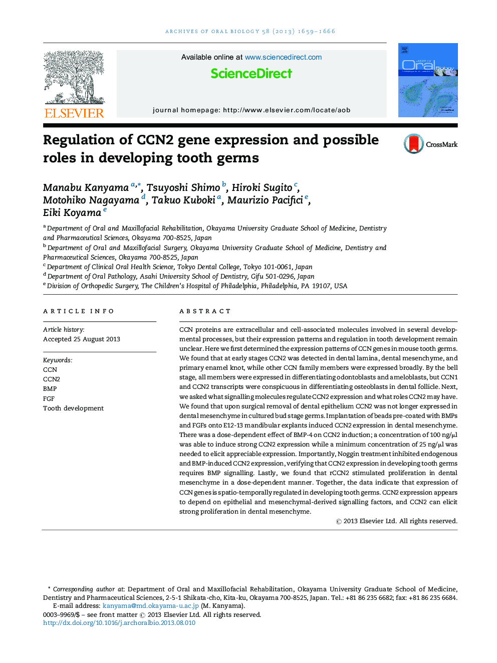 Regulation of CCN2 gene expression and possible roles in developing tooth germs