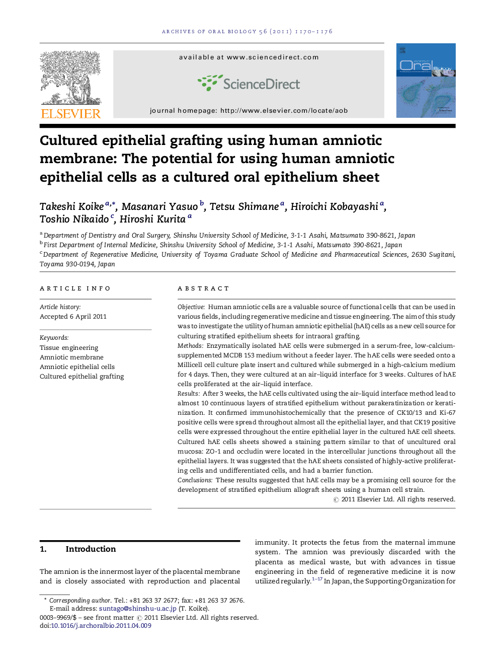 Cultured epithelial grafting using human amniotic membrane: The potential for using human amniotic epithelial cells as a cultured oral epithelium sheet