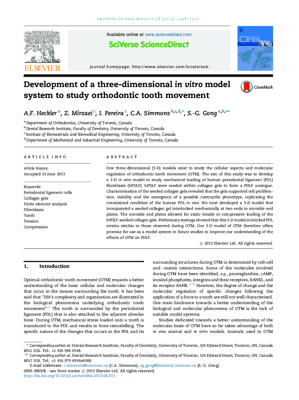 Development of a three-dimensional in vitro model system to study orthodontic tooth movement