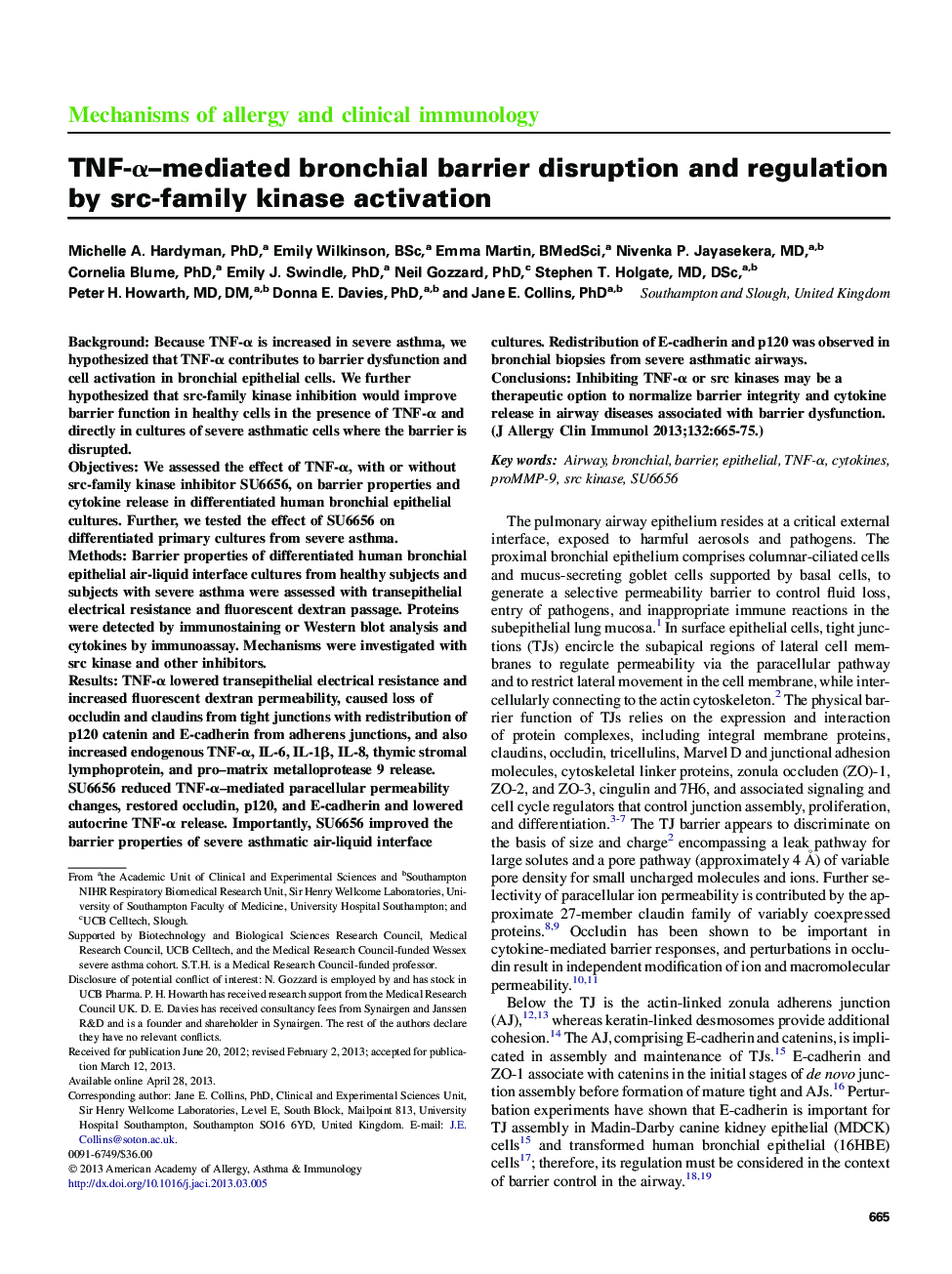 TNF-Î±-mediated bronchial barrier disruption and regulation by src-family kinase activation