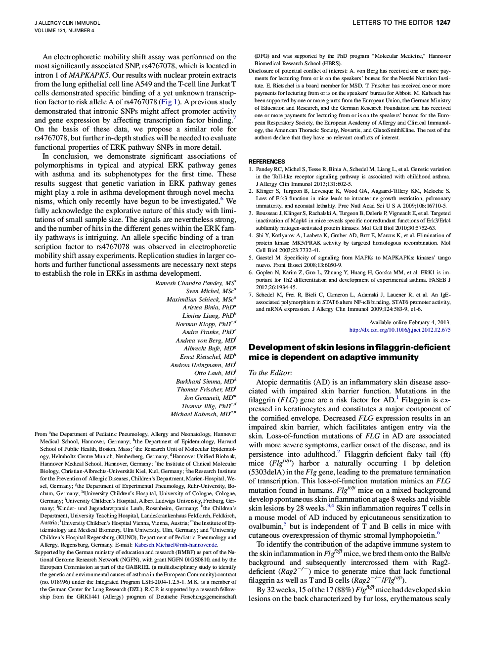 Development of skin lesions in filaggrin-deficient mice is dependent on adaptive immunity