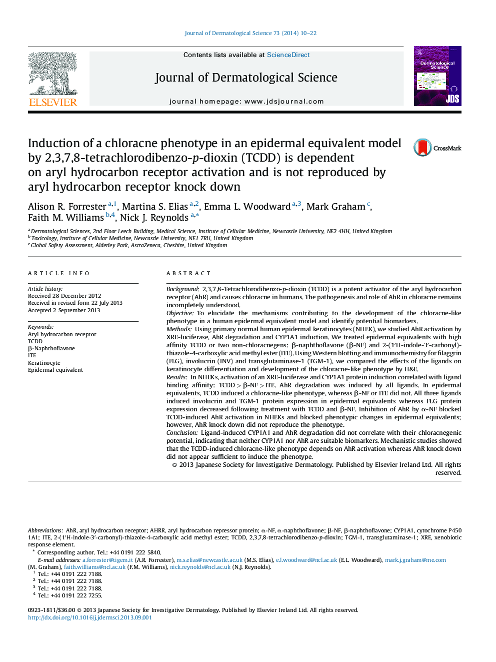 Induction of a chloracne phenotype in an epidermal equivalent model by 2,3,7,8-tetrachlorodibenzo-p-dioxin (TCDD) is dependent on aryl hydrocarbon receptor activation and is not reproduced by aryl hydrocarbon receptor knock down