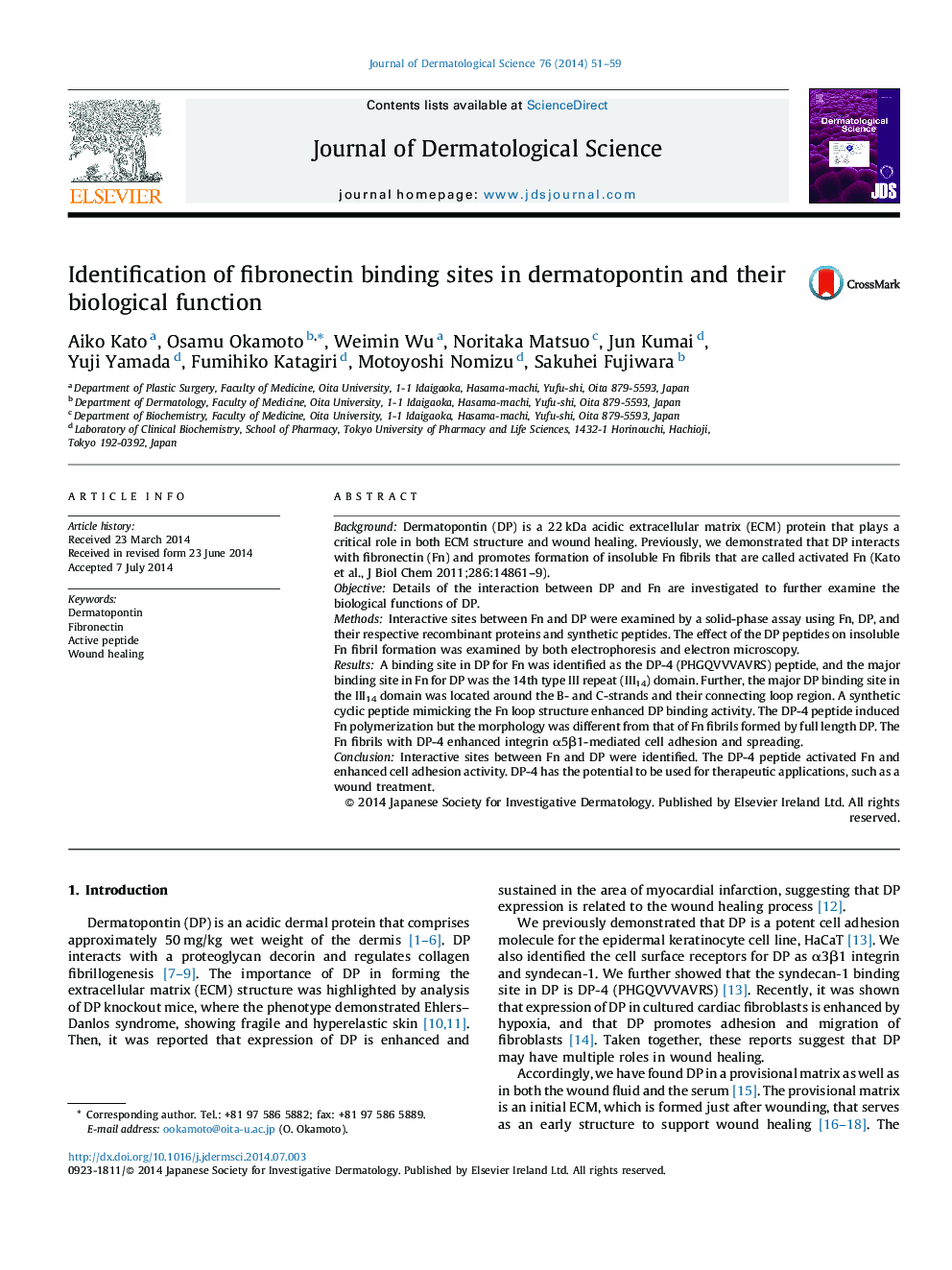 Identification of fibronectin binding sites in dermatopontin and their biological function