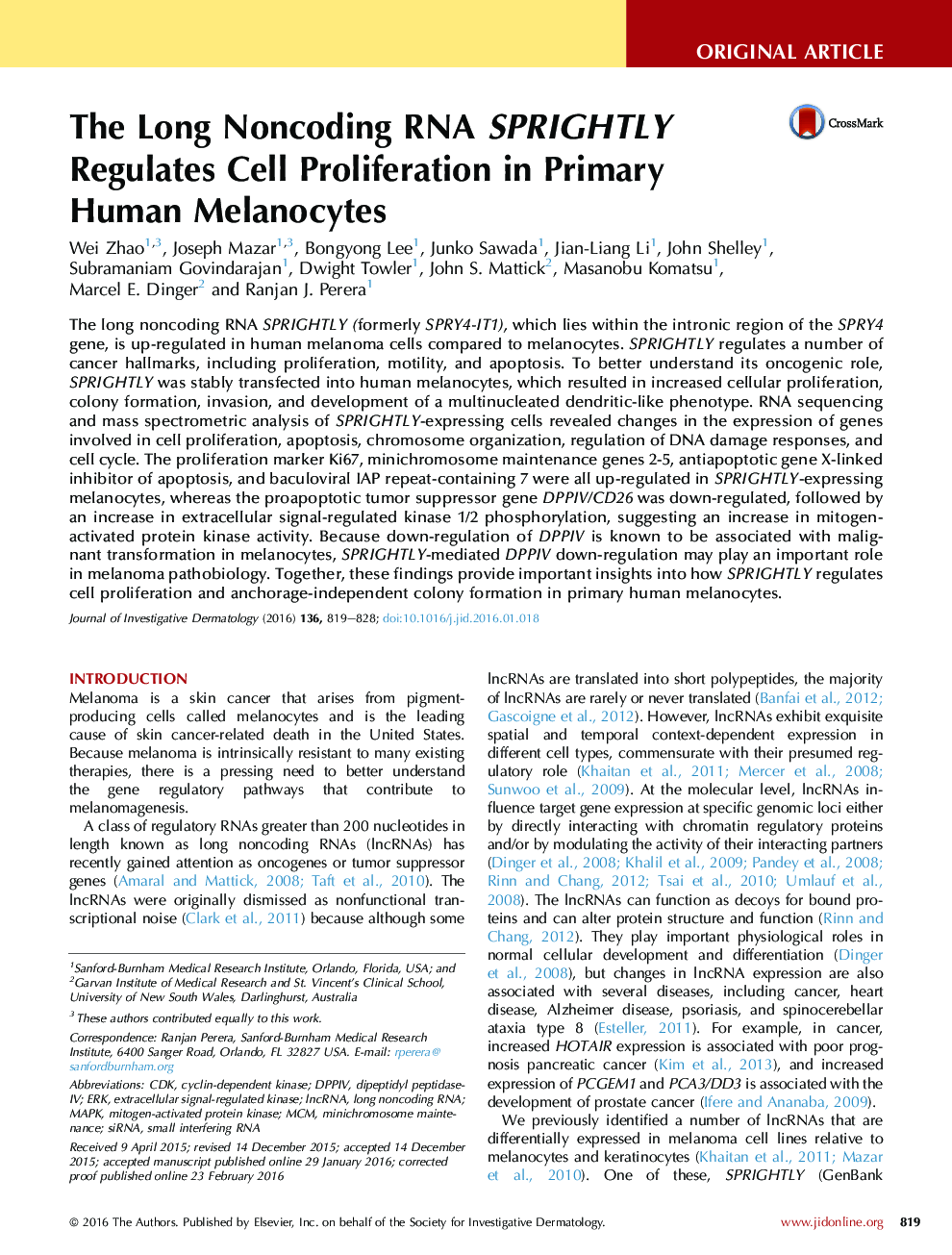 Original ArticleMelanocytes/MelanomaThe Long Noncoding RNA SPRIGHTLY Regulates Cell Proliferation in Primary Human Melanocytes