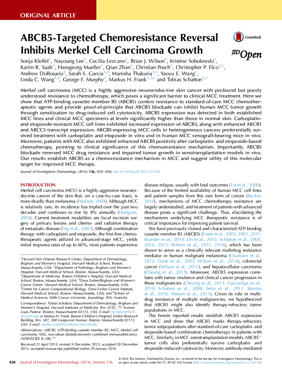 ABCB5-Targeted Chemoresistance Reversal Inhibits Merkel Cell Carcinoma Growth