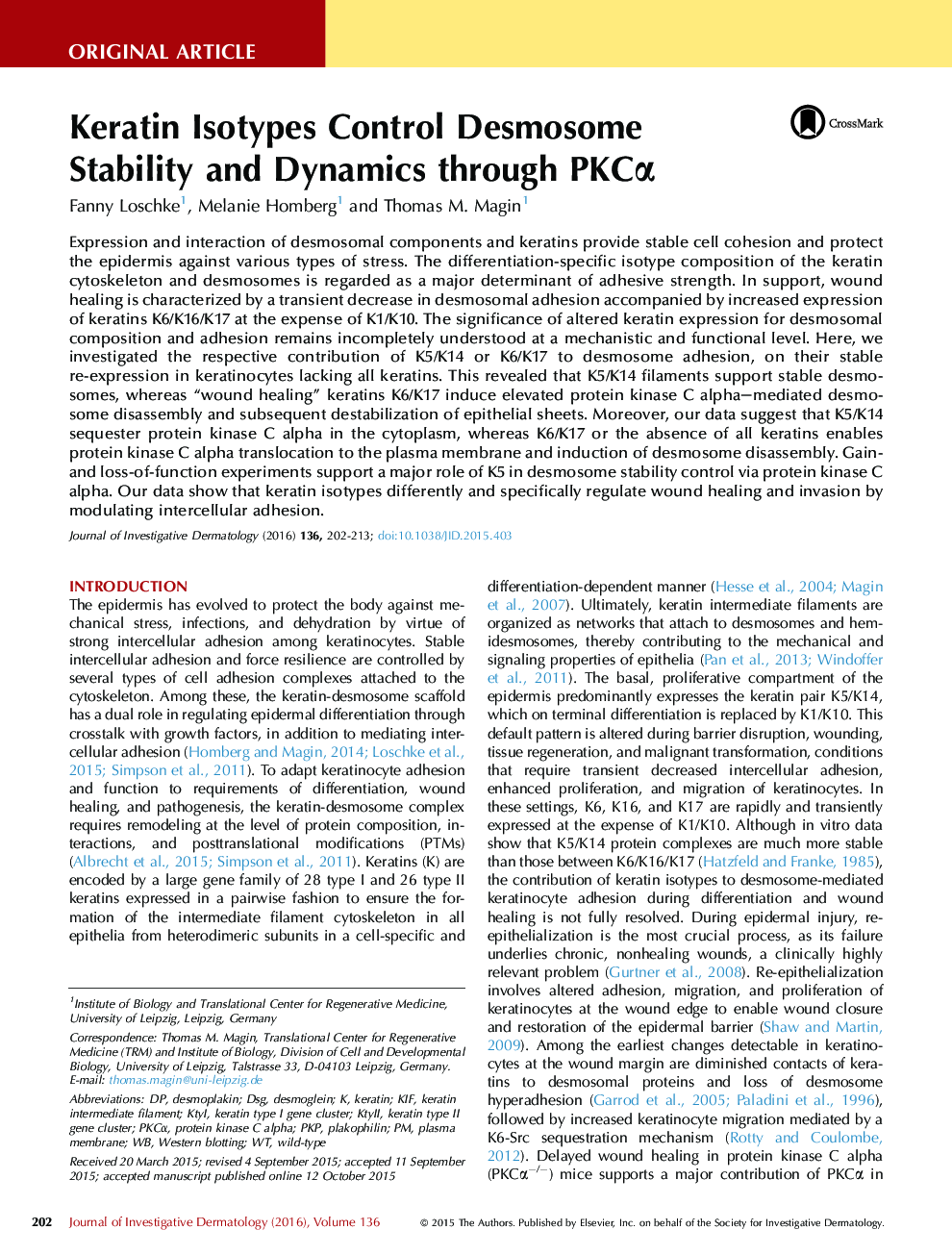 Original ArticleKeratinocytes/EpidermisKeratin Isotypes Control Desmosome Stability and Dynamics through PKCÎ±