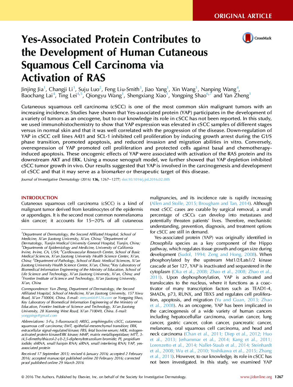 Original ArticleTumor BiologyYes-Associated Protein Contributes to theÂ Development of Human Cutaneous Squamous Cell Carcinoma via ActivationÂ ofÂ RAS