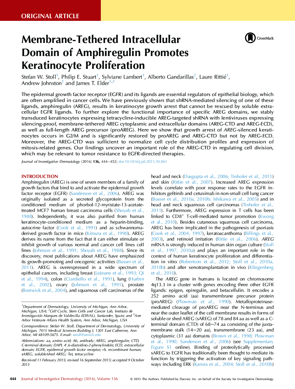 Original ArticleKeratinocytes/EpidermisMembrane-Tethered Intracellular DomainÂ of Amphiregulin Promotes Keratinocyte Proliferation