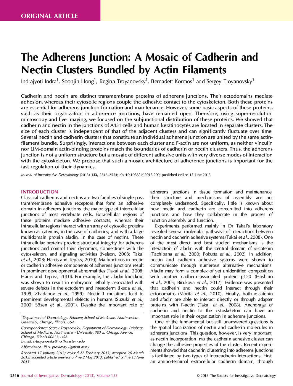 Original ArticleThe Adherens Junction: A Mosaic of Cadherin and Nectin Clusters Bundled by Actin Filaments