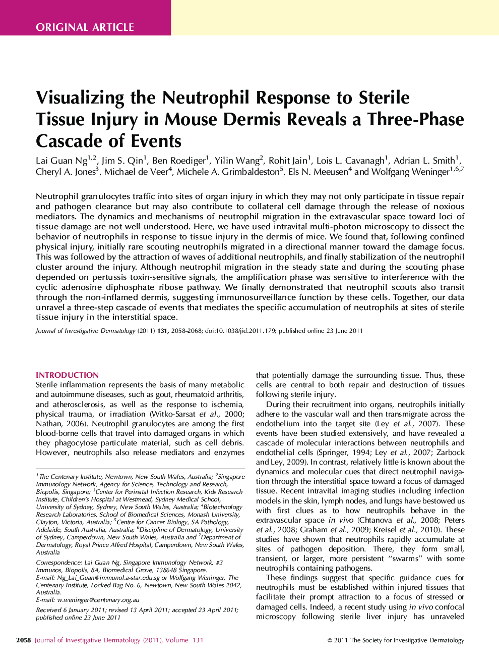 Visualizing the Neutrophil Response to Sterile Tissue Injury in Mouse Dermis Reveals a Three-Phase Cascade of Events