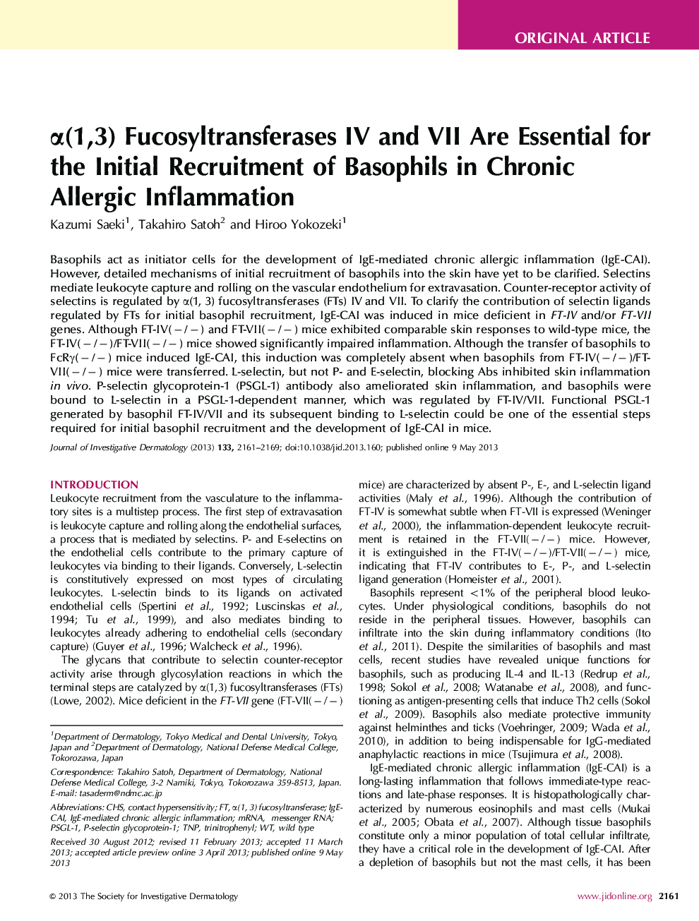 Î±(1,3) Fucosyltransferases IV and VII Are Essential for the Initial Recruitment of Basophils in Chronic Allergic Inflammation