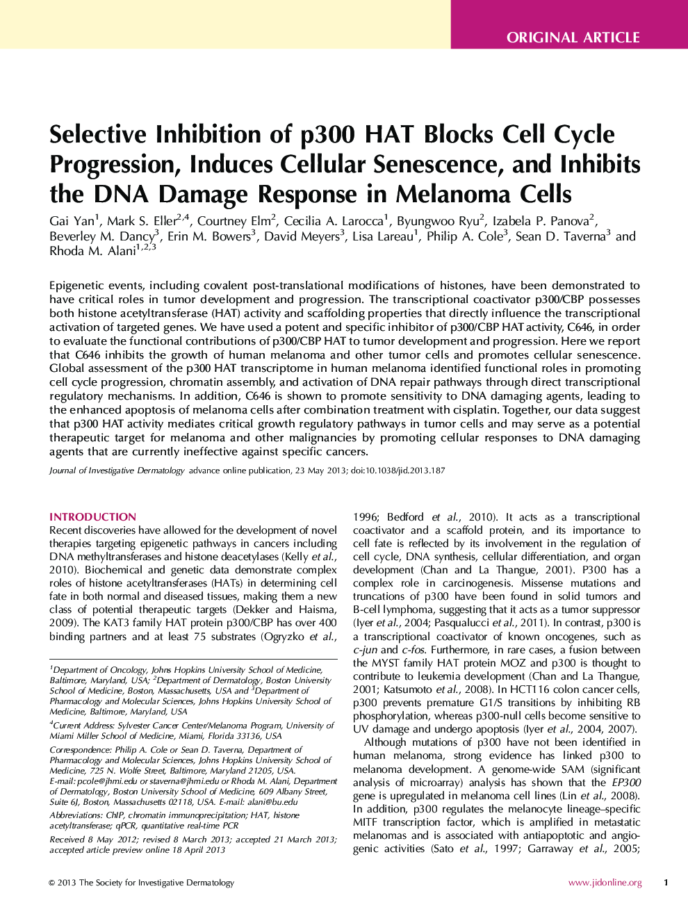 Selective Inhibition of p300 HAT Blocks Cell Cycle Progression, Induces Cellular Senescence, and Inhibits the DNA Damage Response in Melanoma Cells