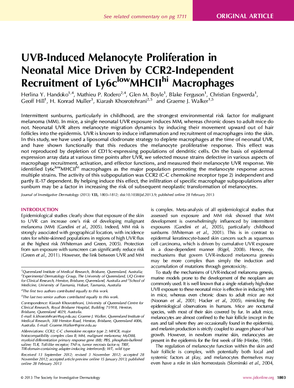 UVB-Induced Melanocyte Proliferation in Neonatal Mice Driven by CCR2-Independent Recruitment of Ly6clowMHCIIhi Macrophages