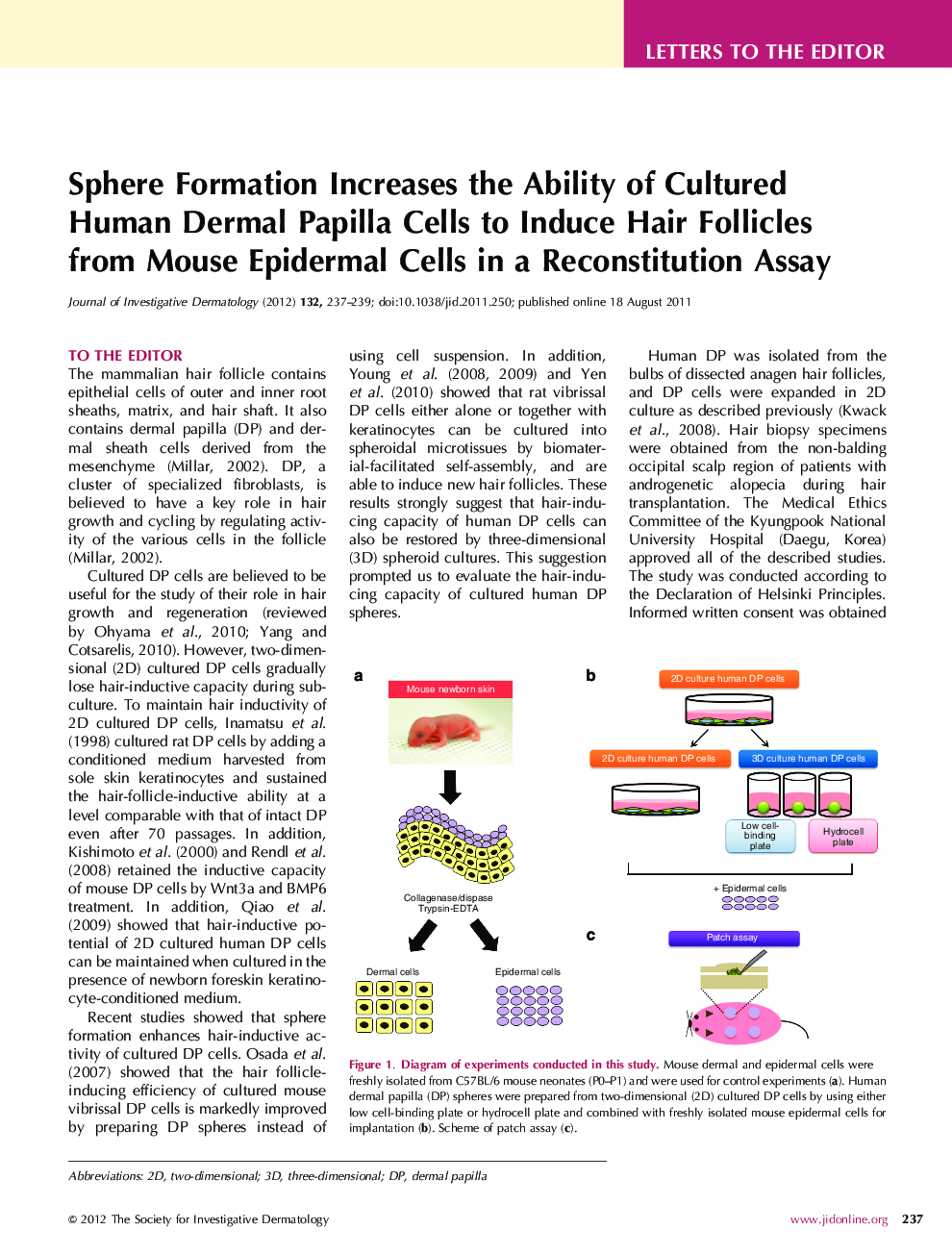 Sphere Formation Increases the Ability of Cultured Human Dermal Papilla Cells to Induce Hair Follicles from Mouse Epidermal Cells in a Reconstitution Assay