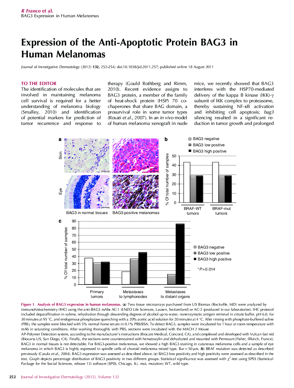 Expression of the Anti-Apoptotic Protein BAG3 in Human Melanomas