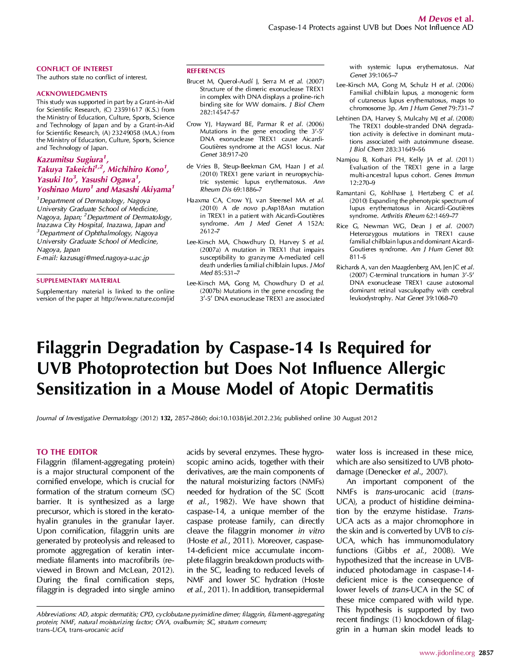 Filaggrin Degradation by Caspase-14 Is Required for UVB Photoprotection but Does Not Influence Allergic Sensitization in a Mouse Model of Atopic Dermatitis