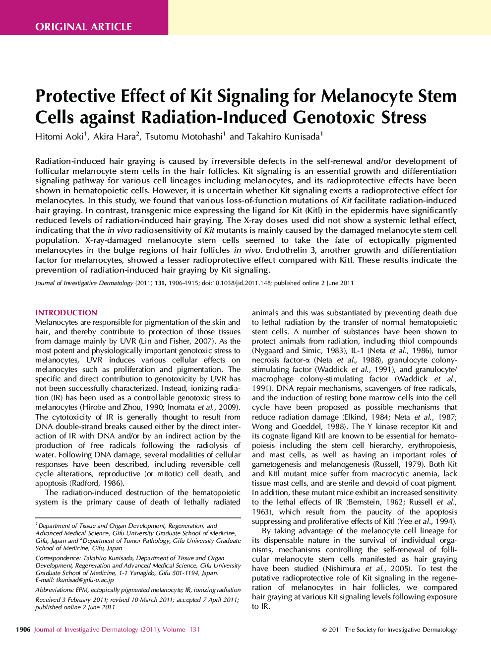 Protective Effect of Kit Signaling for Melanocyte Stem Cells against Radiation-Induced Genotoxic Stress