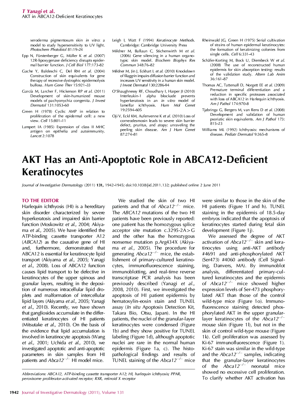 AKT Has an Anti-Apoptotic Role in ABCA12-Deficient Keratinocytes