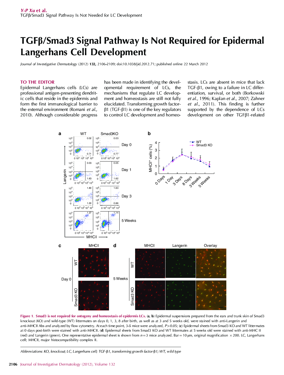 TGFÎ²/Smad3 Signal Pathway Is Not Required for Epidermal Langerhans Cell Development