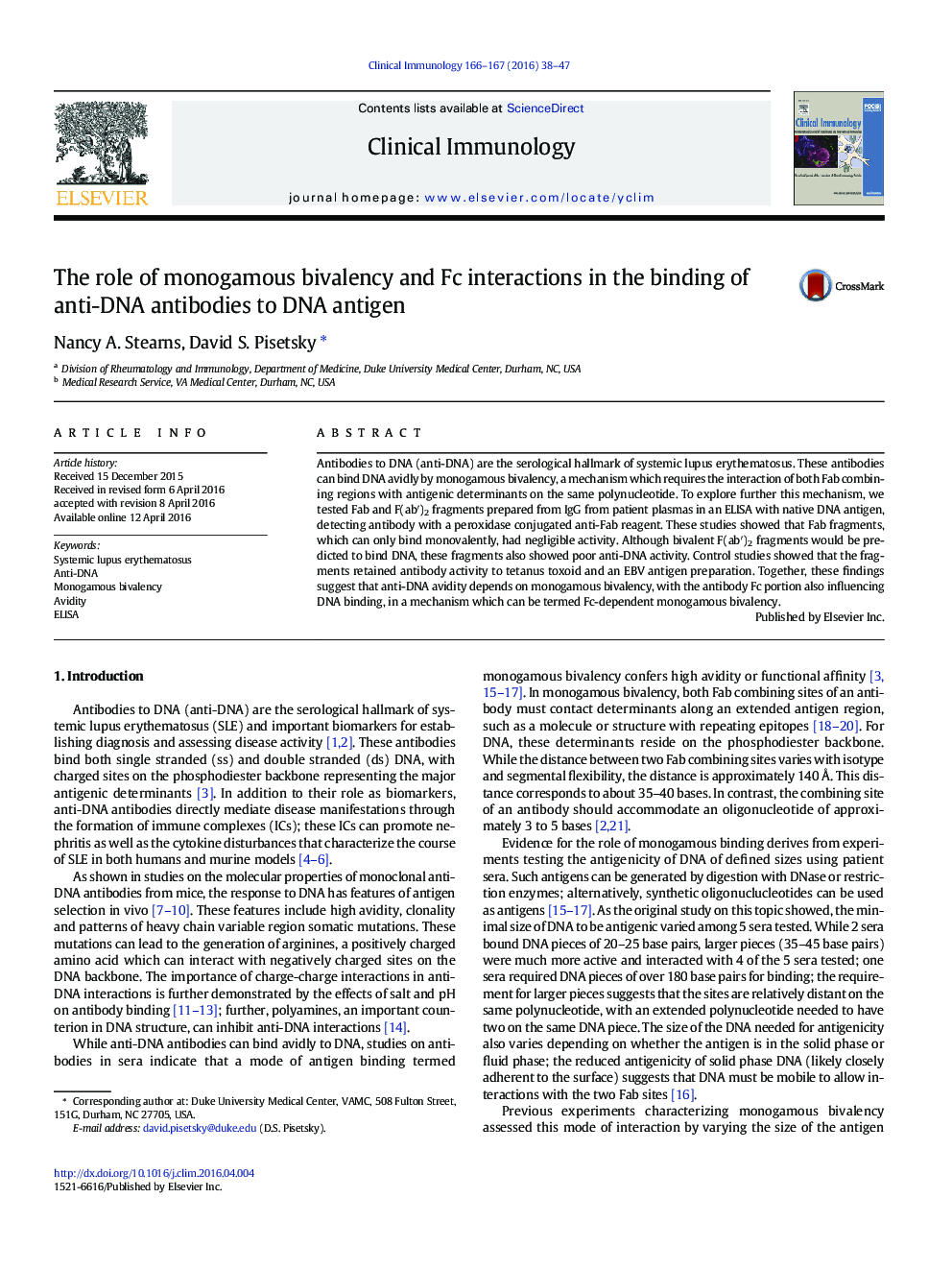 The role of monogamous bivalency and Fc interactions in the binding of anti-DNA antibodies to DNA antigen