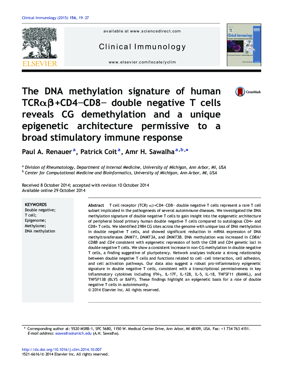 The DNA methylation signature of human TCRÎ±Î²+CD4âCD8â double negative T cells reveals CG demethylation and a unique epigenetic architecture permissive to a broad stimulatory immune response