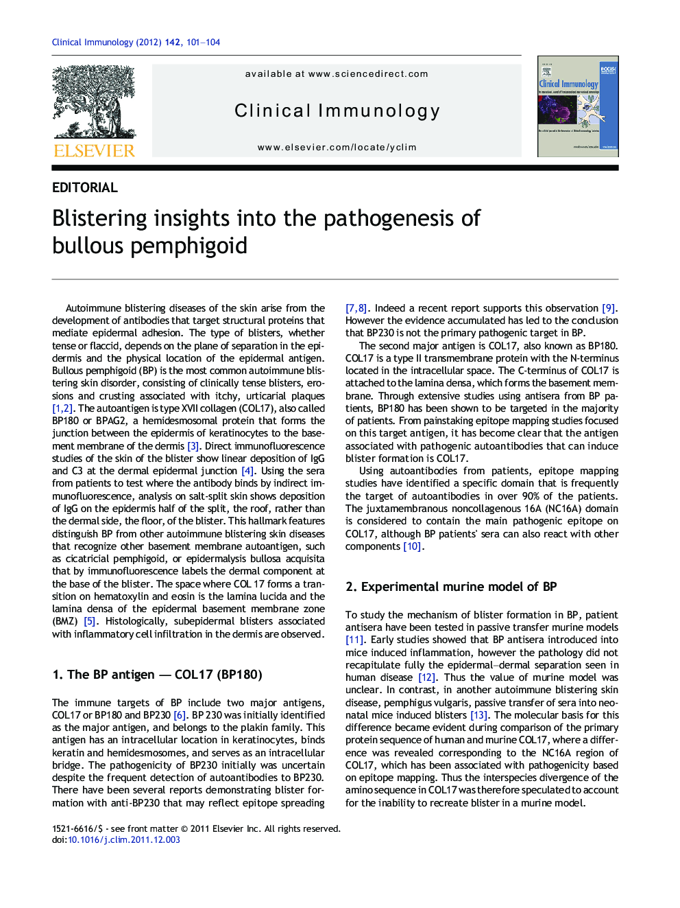Blistering insights into the pathogenesis of bullous pemphigoid