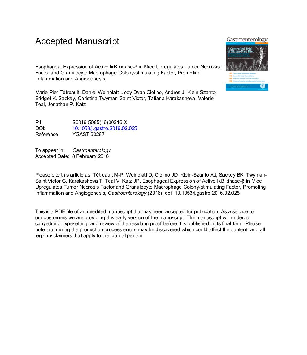 Esophageal Expression of Active IÎºB Kinase-Î² in MiceÂ Up-Regulates Tumor Necrosis Factor and Granulocyte-Macrophage Colony-Stimulating Factor, PromotingÂ Inflammation and Angiogenesis