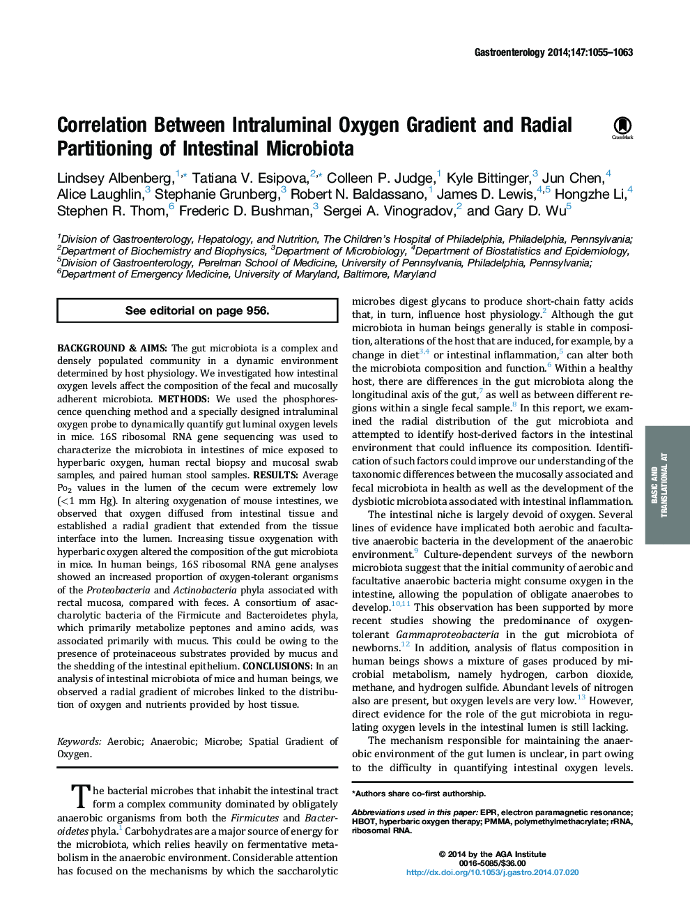 Correlation Between Intraluminal Oxygen Gradient and Radial Partitioning of Intestinal Microbiota