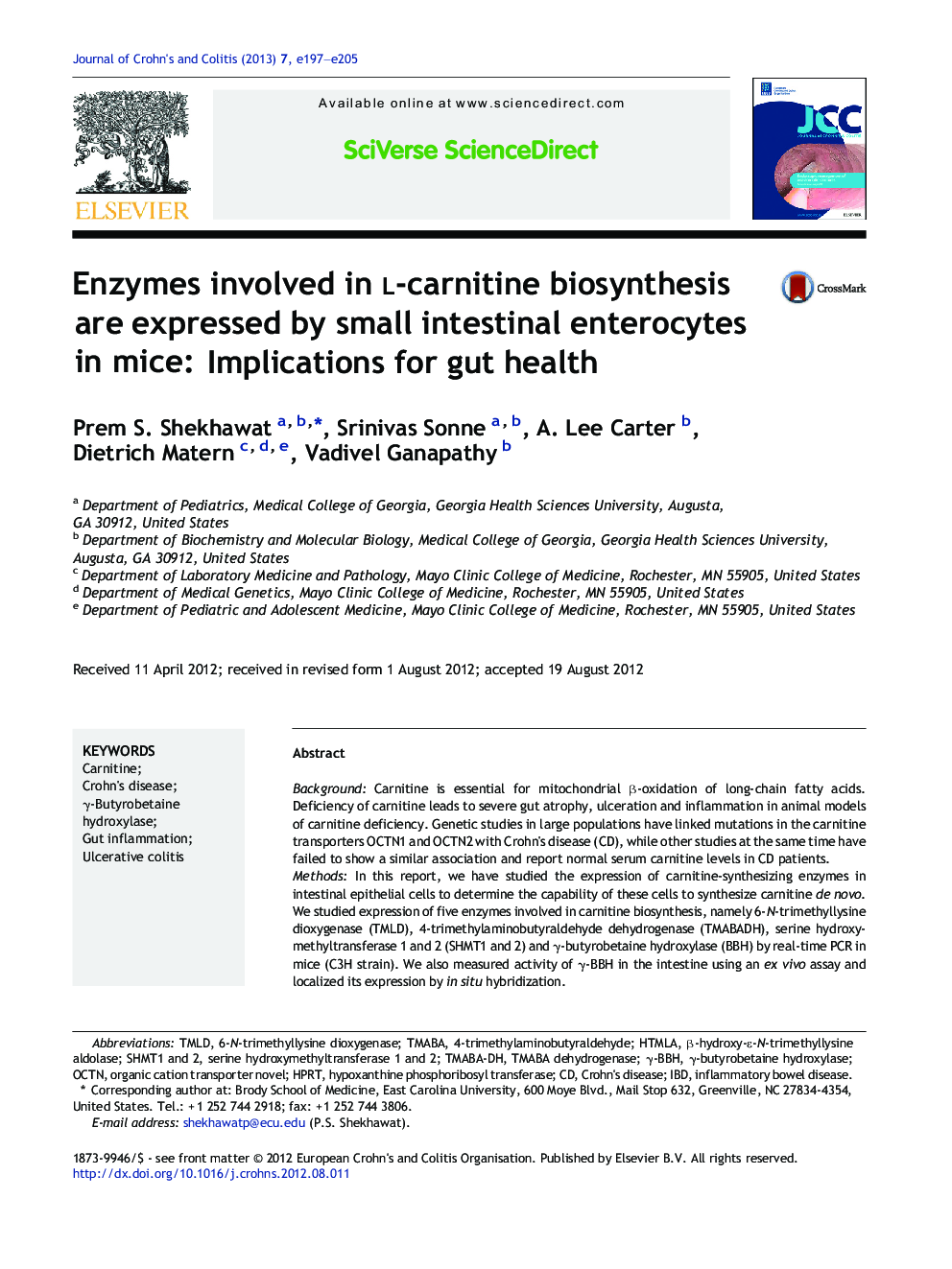 Enzymes involved in l-carnitine biosynthesis are expressed by small intestinal enterocytes in mice: Implications for gut health