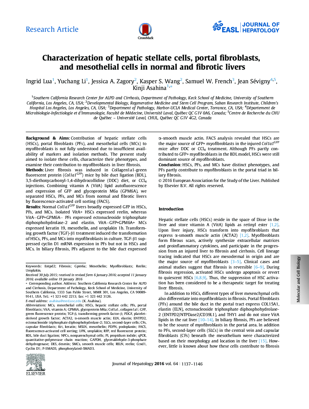 Research ArticleCharacterization of hepatic stellate cells, portal fibroblasts, and mesothelial cells in normal and fibrotic livers