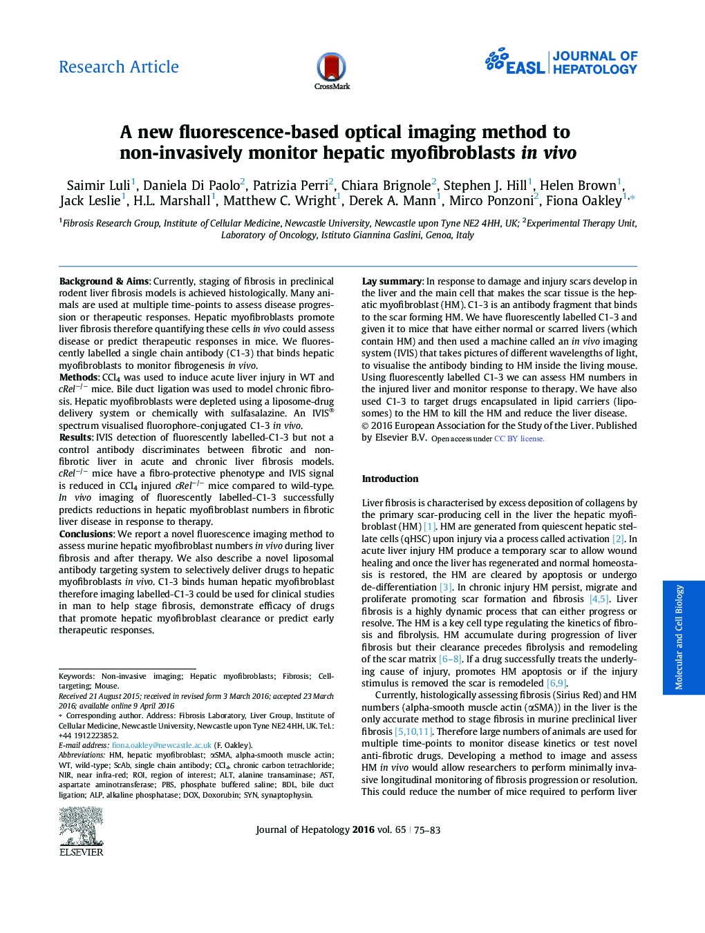 Research ArticleA new fluorescence-based optical imaging method to non-invasively monitor hepatic myofibroblasts in vivo