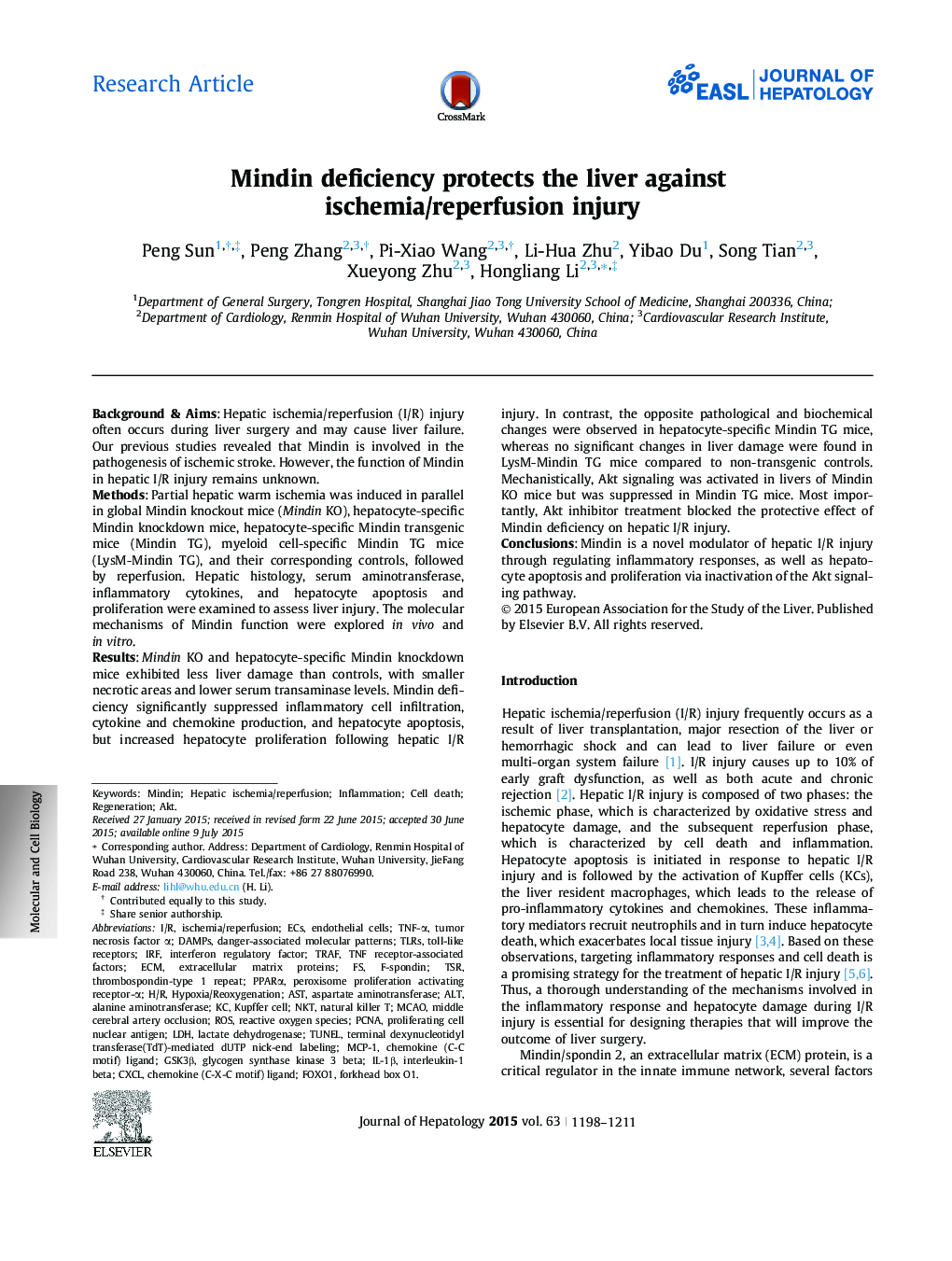 Research ArticleMindin deficiency protects the liver against ischemia/reperfusion injury