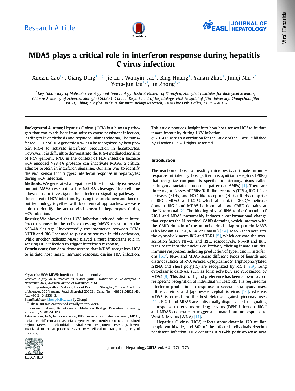 Research ArticleMDA5 plays a critical role in interferon response during hepatitis C virus infection