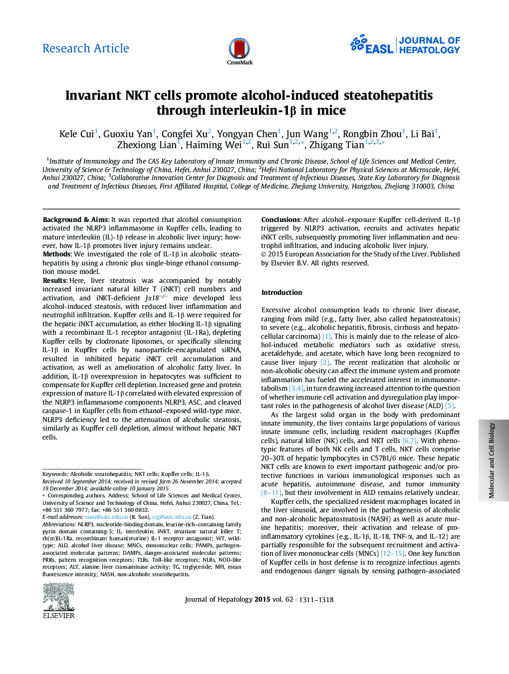 Research ArticleInvariant NKT cells promote alcohol-induced steatohepatitis through interleukin-1Î² in mice