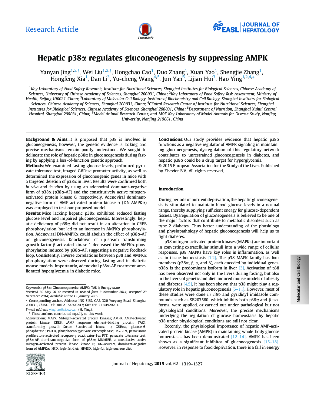 Research ArticleHepatic p38Î± regulates gluconeogenesis by suppressing AMPK