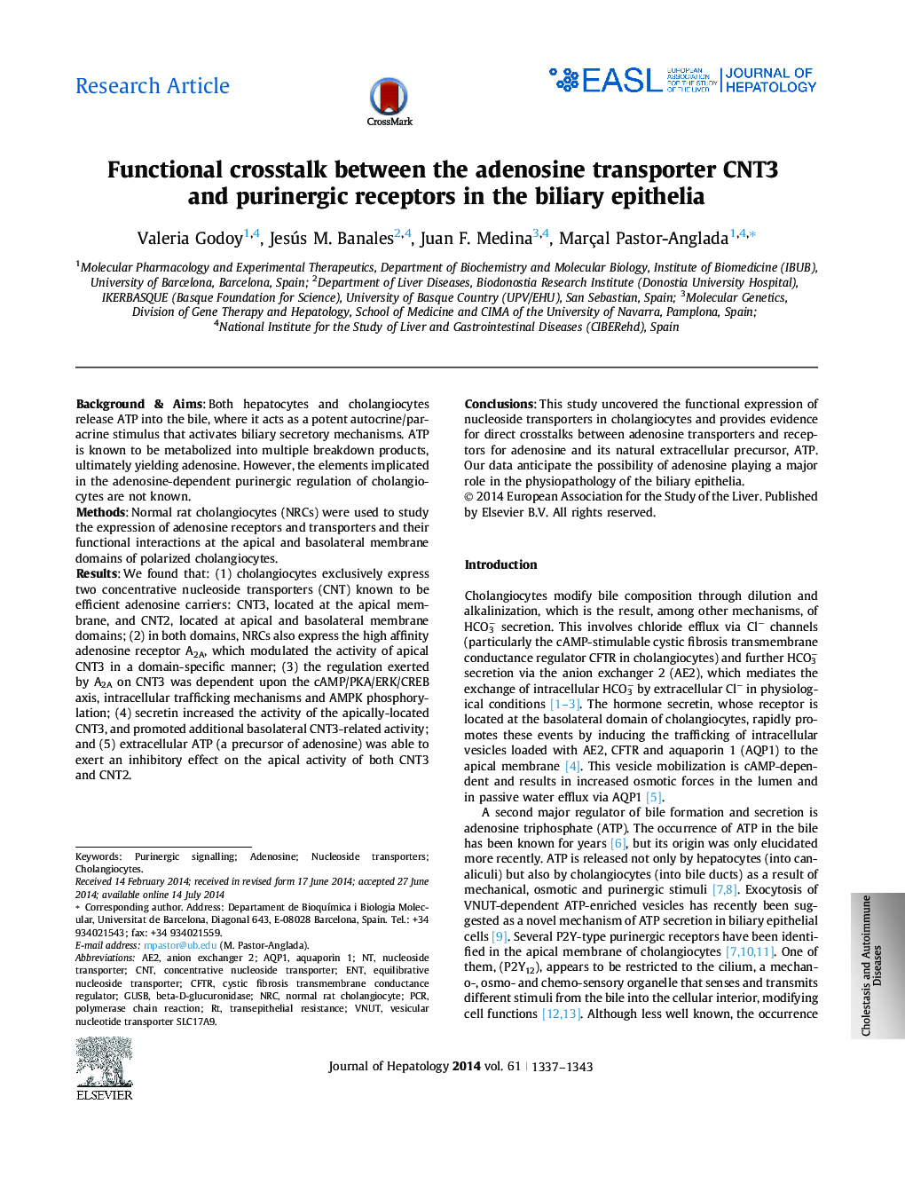 Research ArticleFunctional crosstalk between the adenosine transporter CNT3 and purinergic receptors in the biliary epithelia