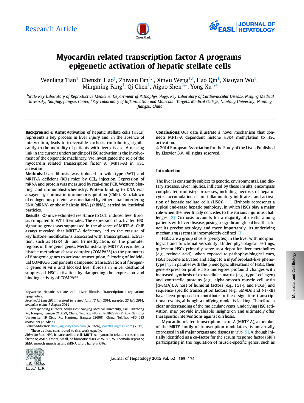 Research ArticleMyocardin related transcription factor A programs epigenetic activation of hepatic stellate cells