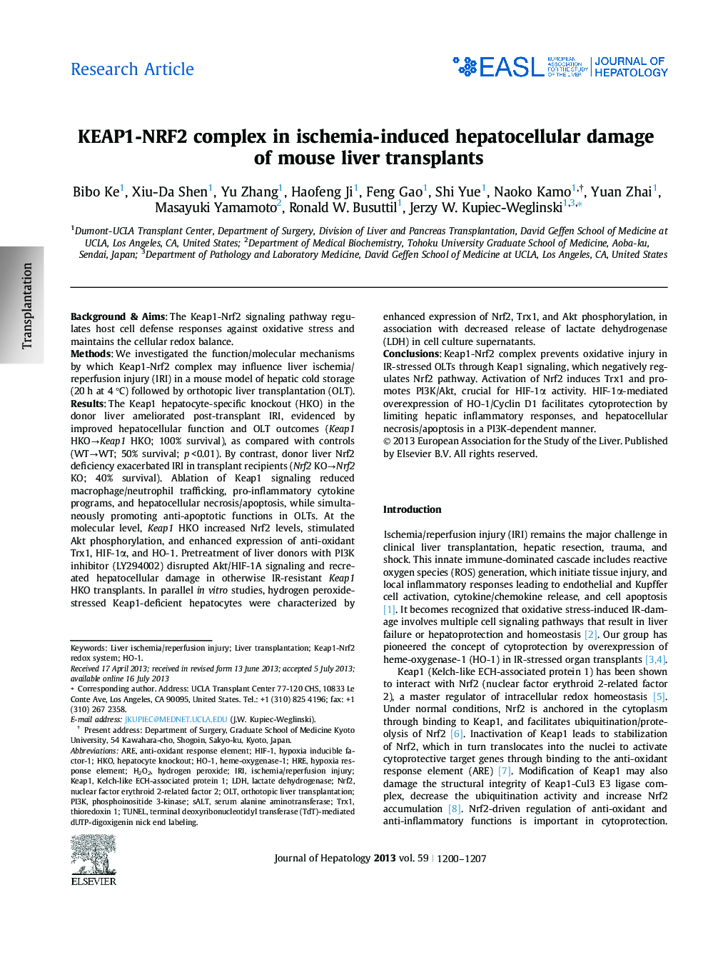 Research ArticleKEAP1-NRF2 complex in ischemia-induced hepatocellular damage of mouse liver transplants