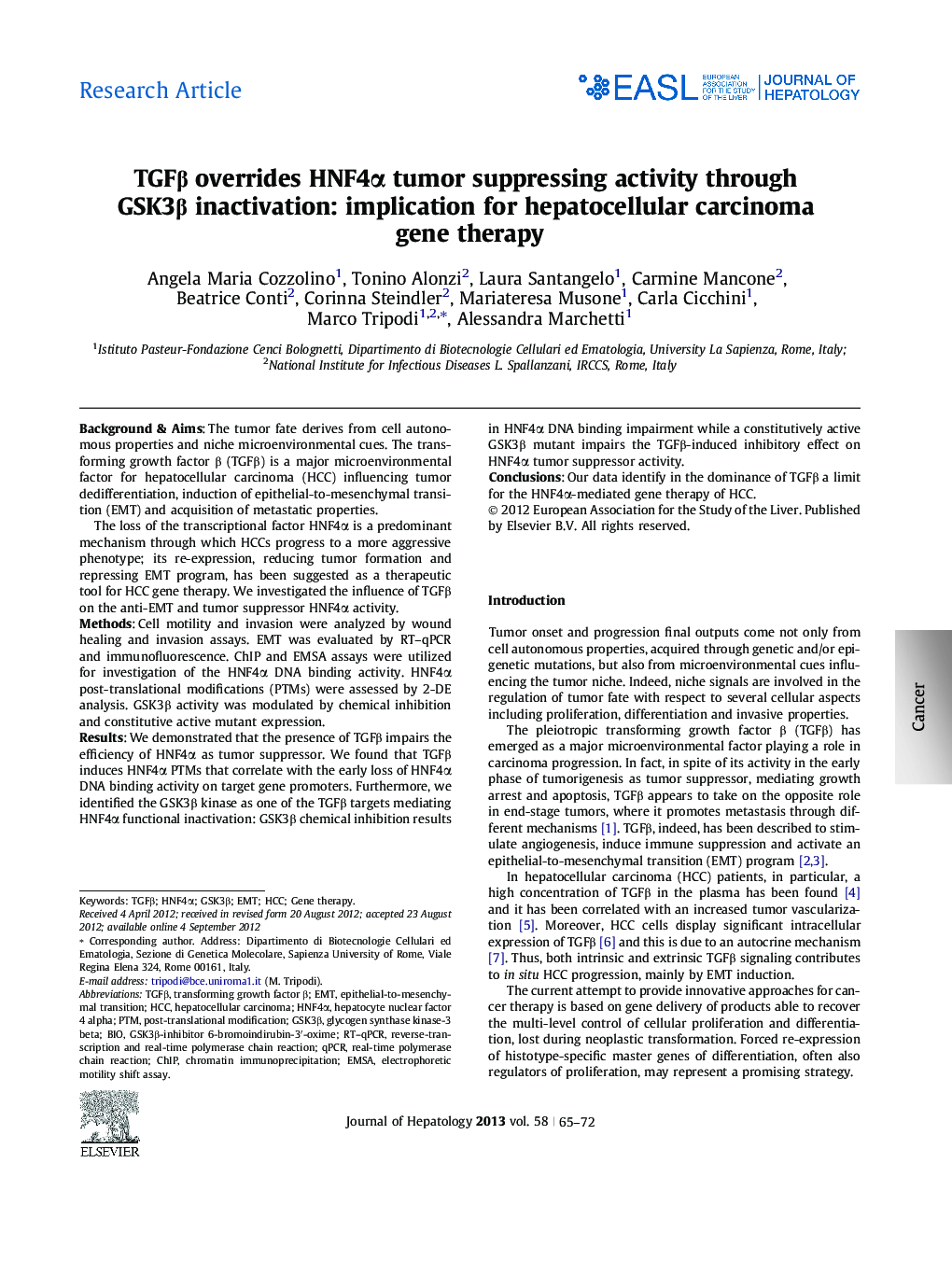 Research ArticleTGFÎ² overrides HNF4Î± tumor suppressing activity through GSK3Î² inactivation: implication for hepatocellular carcinoma gene therapy