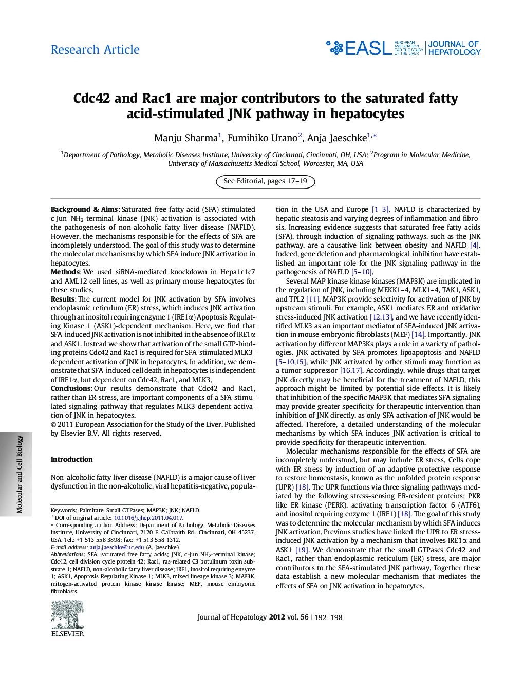 Research ArticleCdc42 and Rac1 are major contributors to the saturated fatty acid-stimulated JNK pathway in hepatocytes