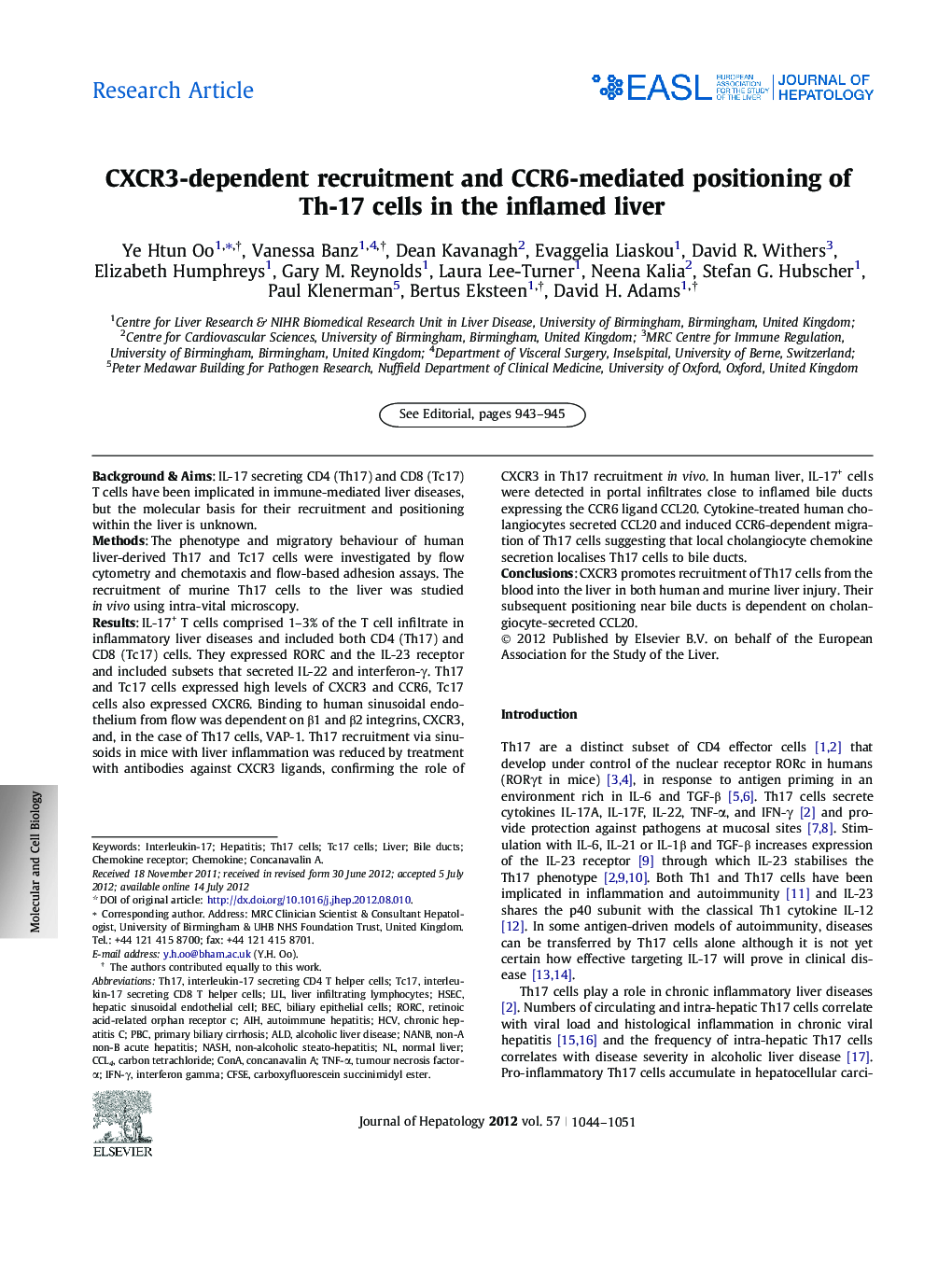 Research ArticleCXCR3-dependent recruitment and CCR6-mediated positioning of Th-17 cells in the inflamed liver