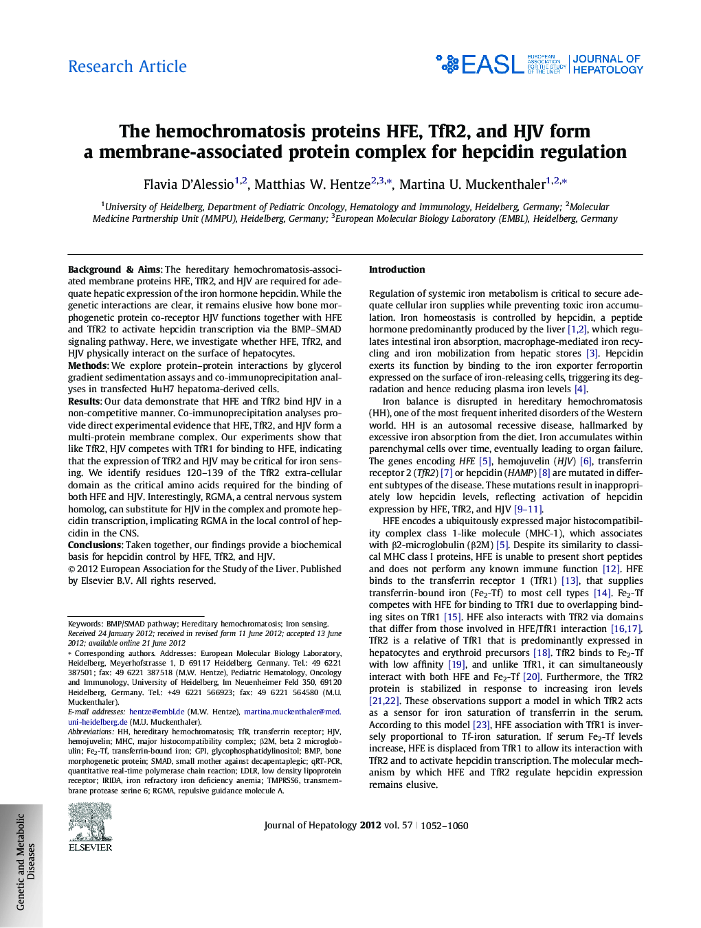 Research ArticleThe hemochromatosis proteins HFE, TfR2, and HJV form a membrane-associated protein complex for hepcidin regulation