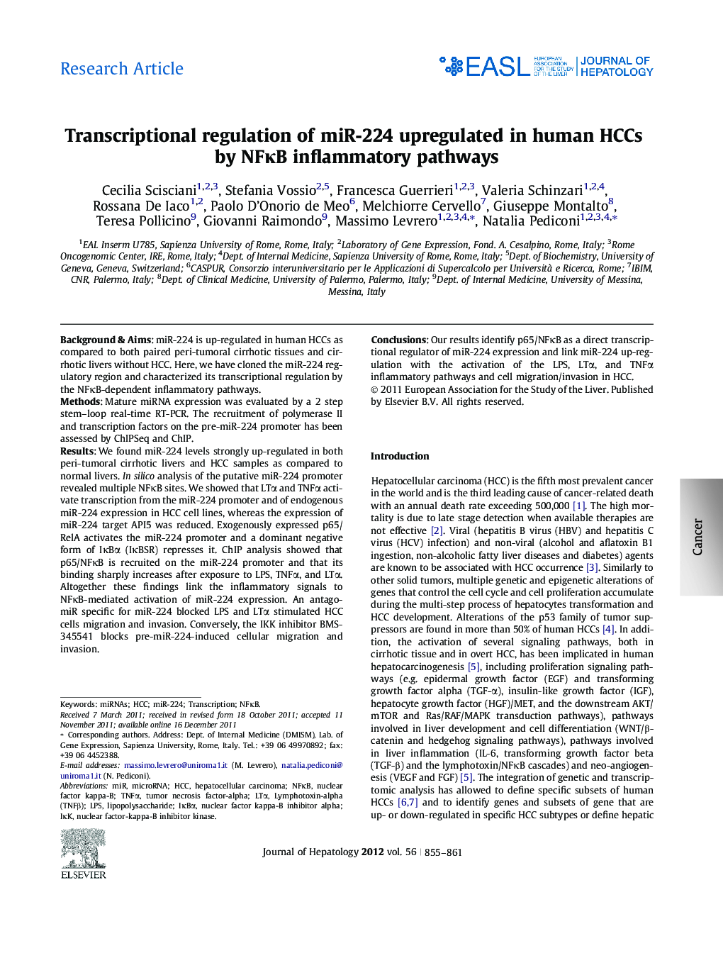 Research ArticleTranscriptional regulation of miR-224 upregulated in human HCCs by NFÎºB inflammatory pathways