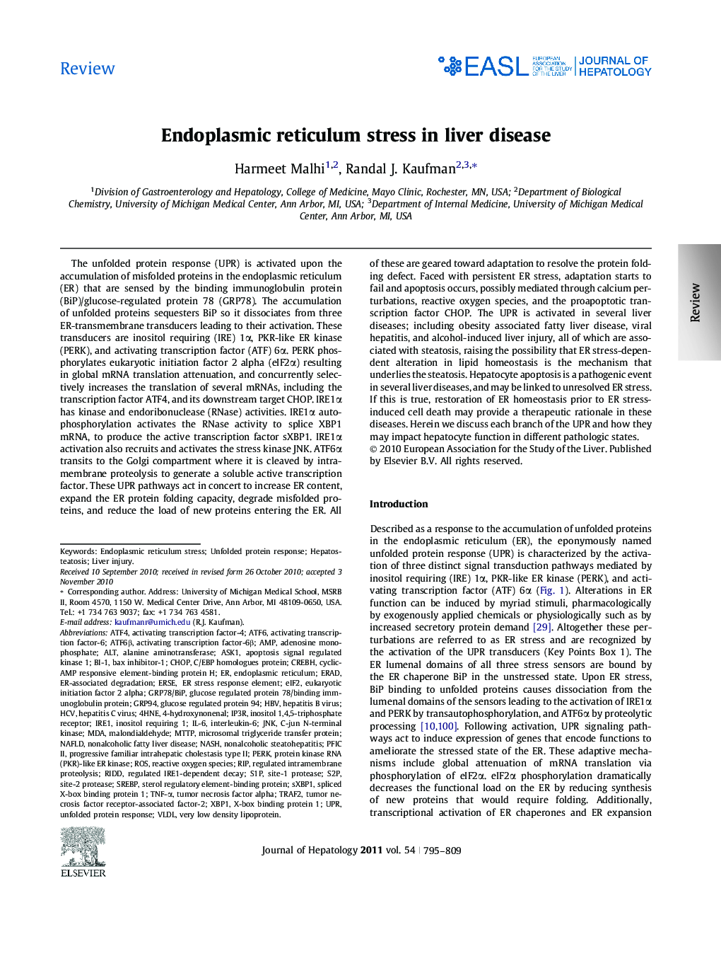 ReviewEndoplasmic reticulum stress in liver disease