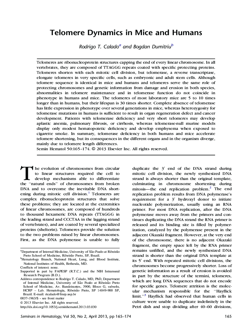 Telomere Dynamics in Mice and Humans