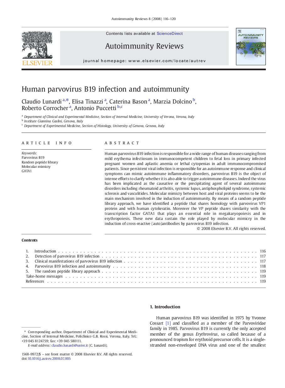 Human parvovirus B19 infection and autoimmunity