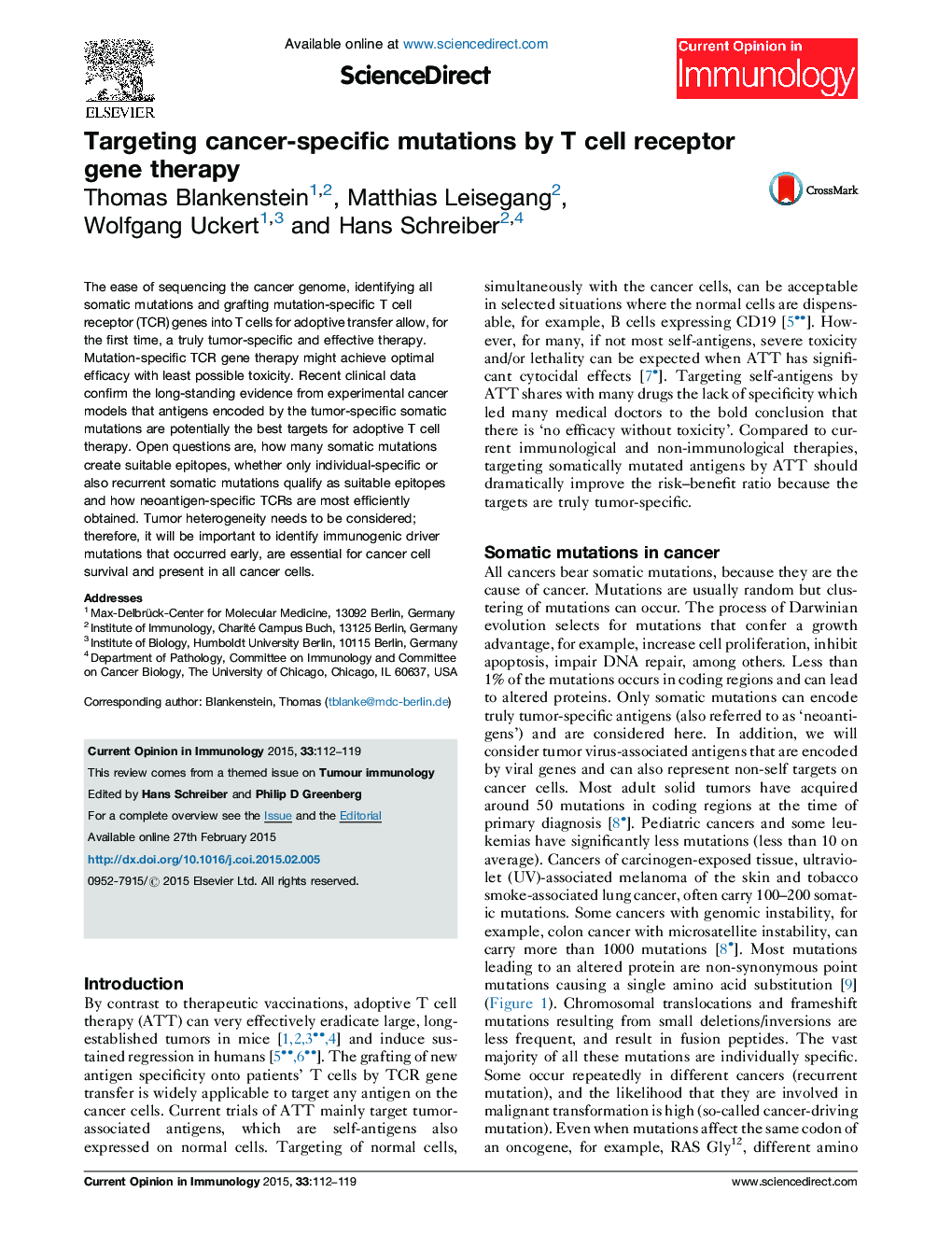 Targeting cancer-specific mutations by T cell receptor gene therapy